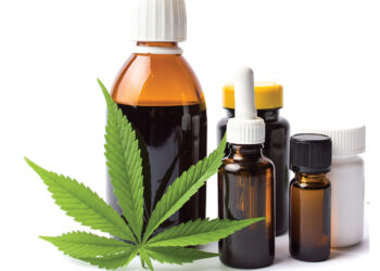 Comité de expertos advierte que sólo un derivado de los componentes del cannabis puede ser útil para el tratamiento de la epilepsia refractaria 